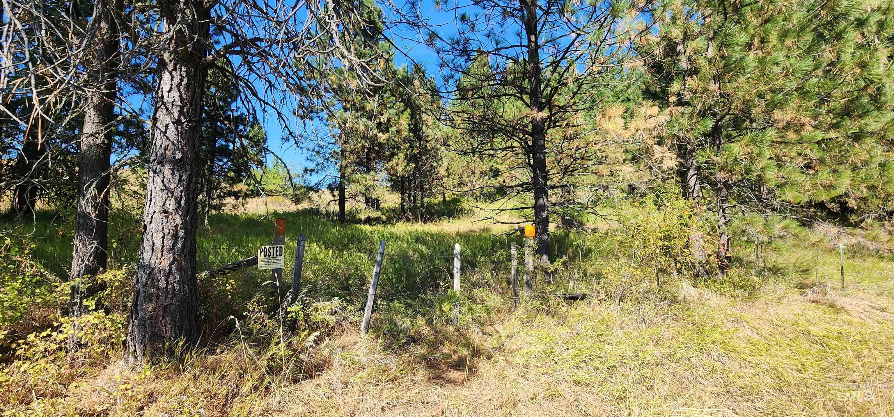 Tbd Red Fir Road Kooskia, ID 83539 - Photo 24 of 34