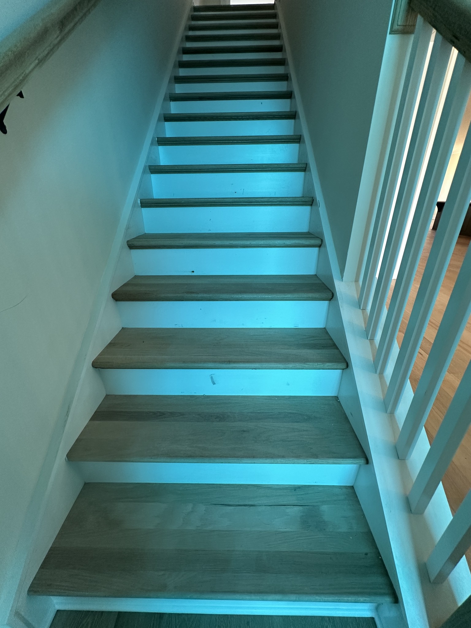 1576 Frye Road Columbia, TN 38401 - Photo 46 of 66