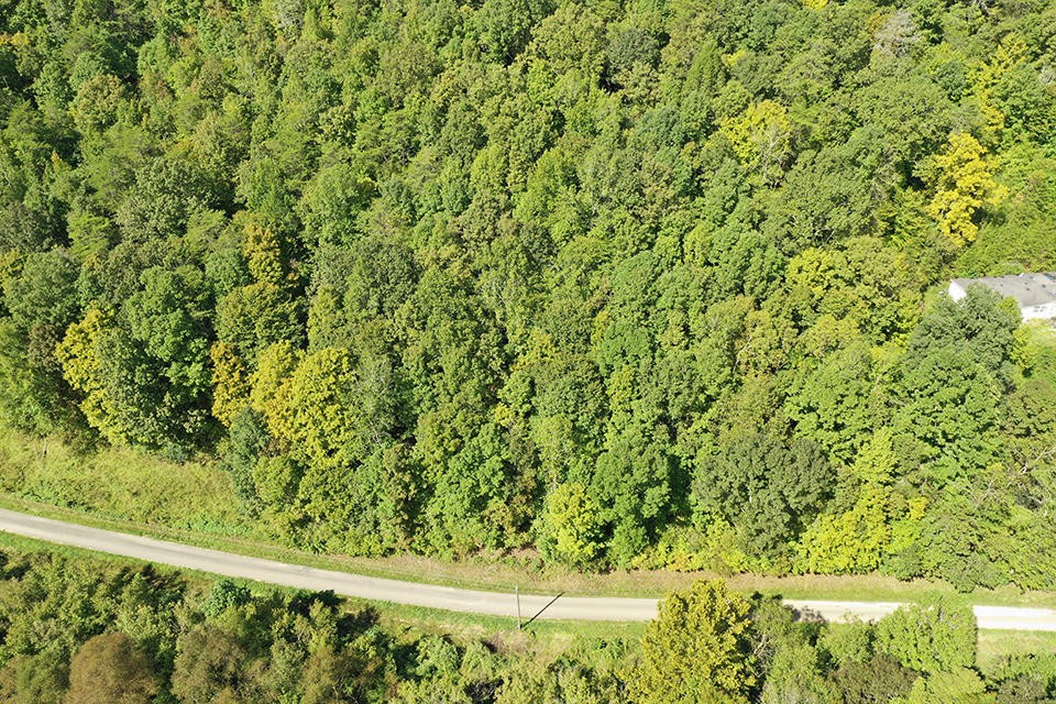 0 Parcel 045.08 Baysinger Road Newport, TN 37821 - Photo 2 of 11