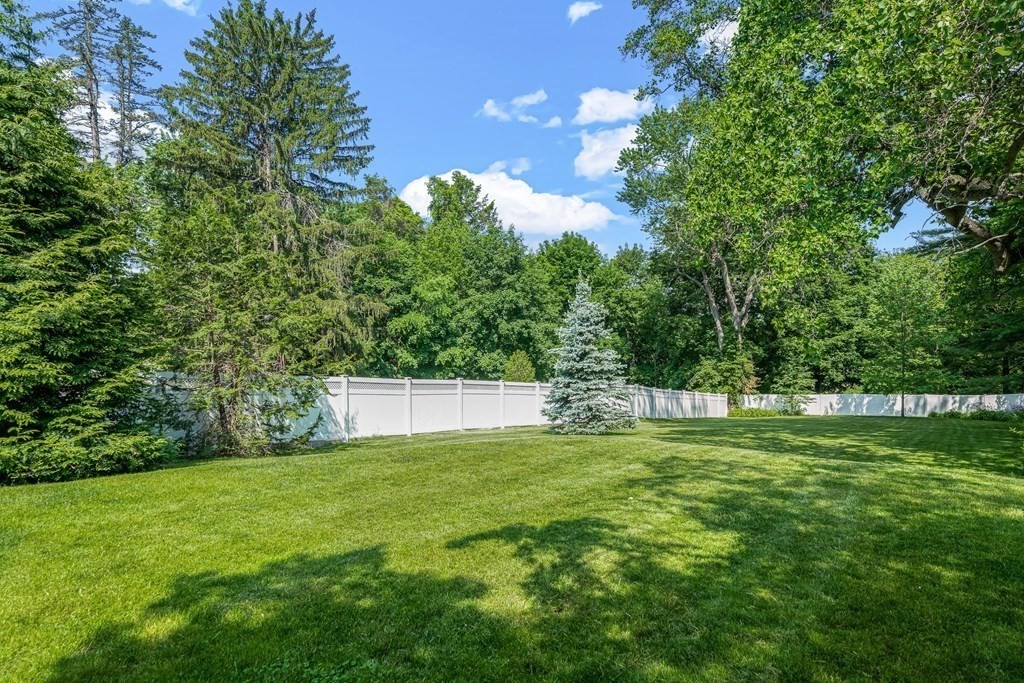 52 Morton Street Andover, MA 01810 - Photo 25 of 27 a view of a back yard