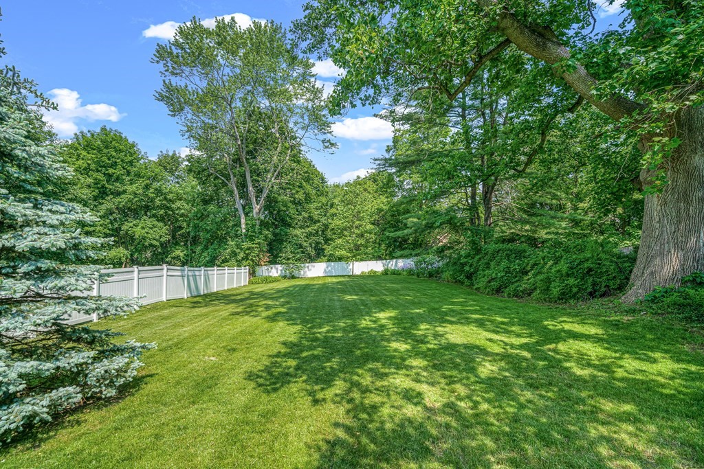 52 Morton Street Andover, MA 01810 - Photo 3 of 27 a view of a back yard
