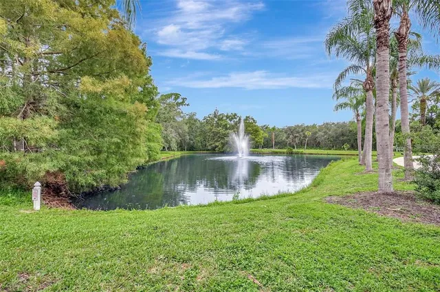 a view of a lake with a yard and large trees