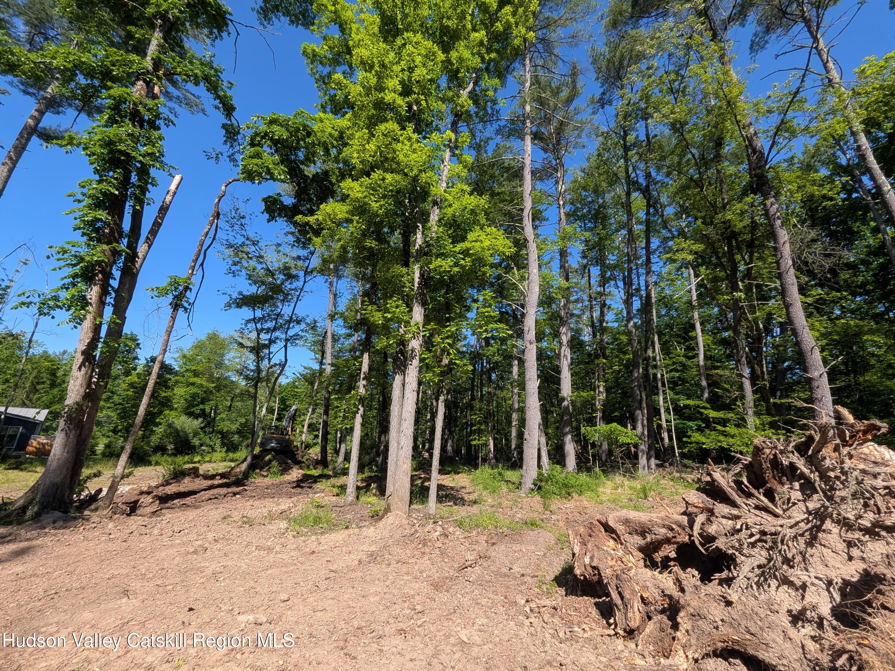 856 Berme Road High Falls, NY 12440 - Photo 12 of 18 PXL_20260602_135148887