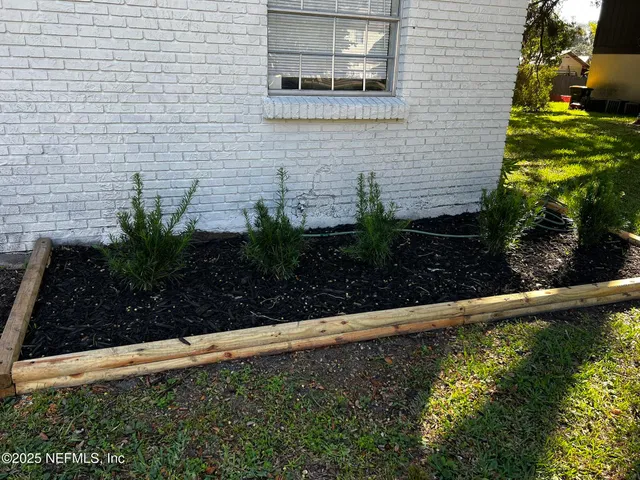 a view of a backyard with plants