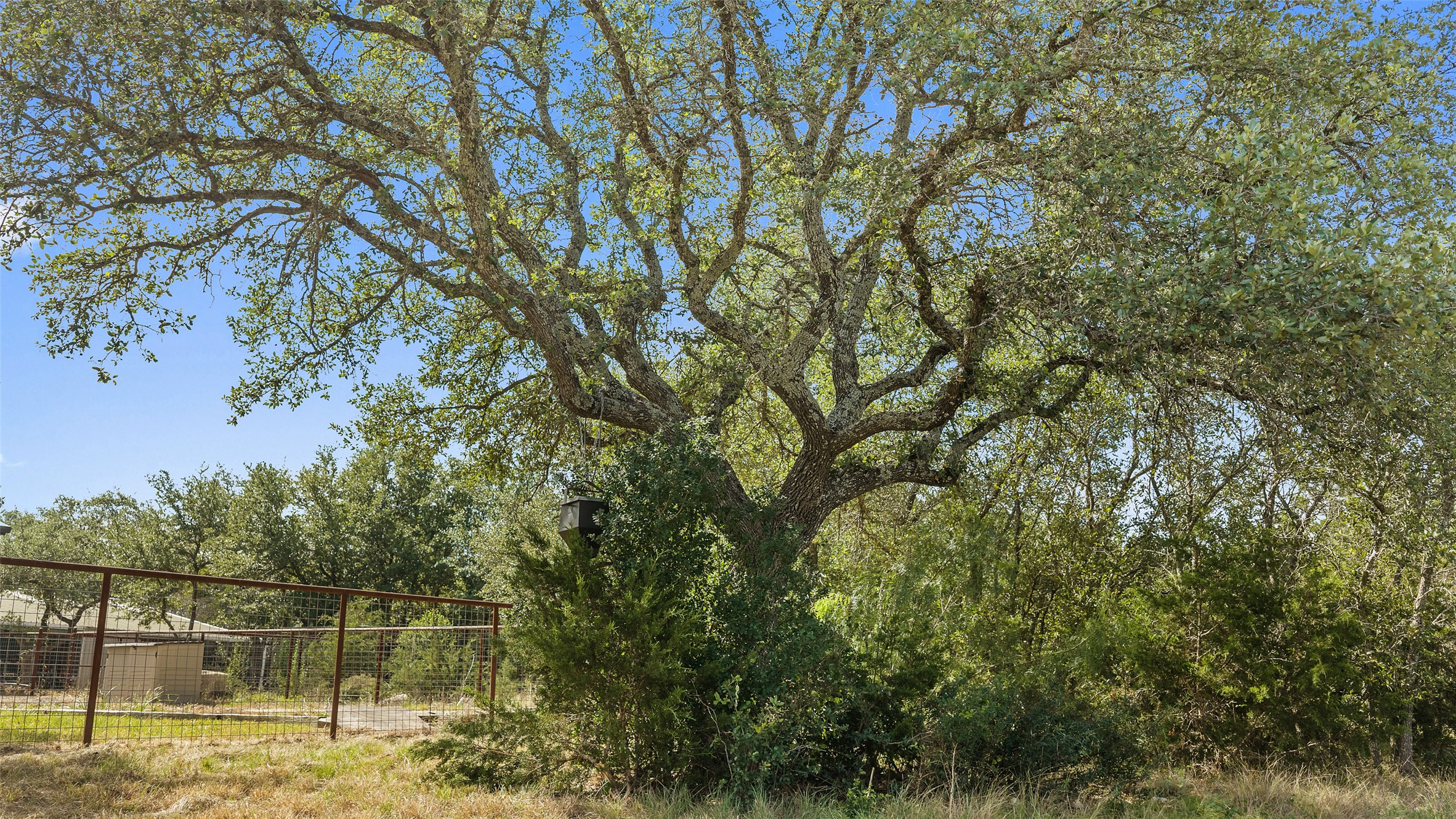 764 Stubbs Road Johnson City, TX 78636 - Photo 21 of 29 Mature trees and natural landscaping create a serene, private setting.