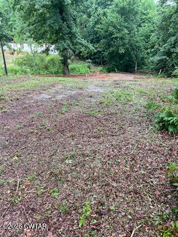 1375 Sticky Ridge Road Reagan, TN 38368 - Photo 15 of 15 a view of a yard with a tree