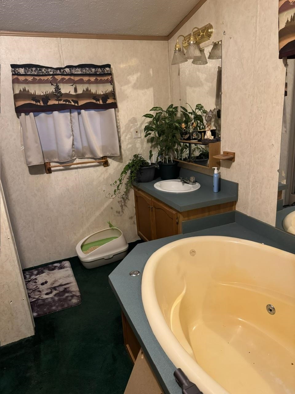 347 Chase Road Sandwich, NH 03259 - Photo 14 of 14