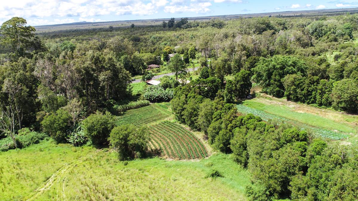 18-2728 Volcano Road Mountain View, HI 96771 - Photo 8 of 12 Gallery Image 8