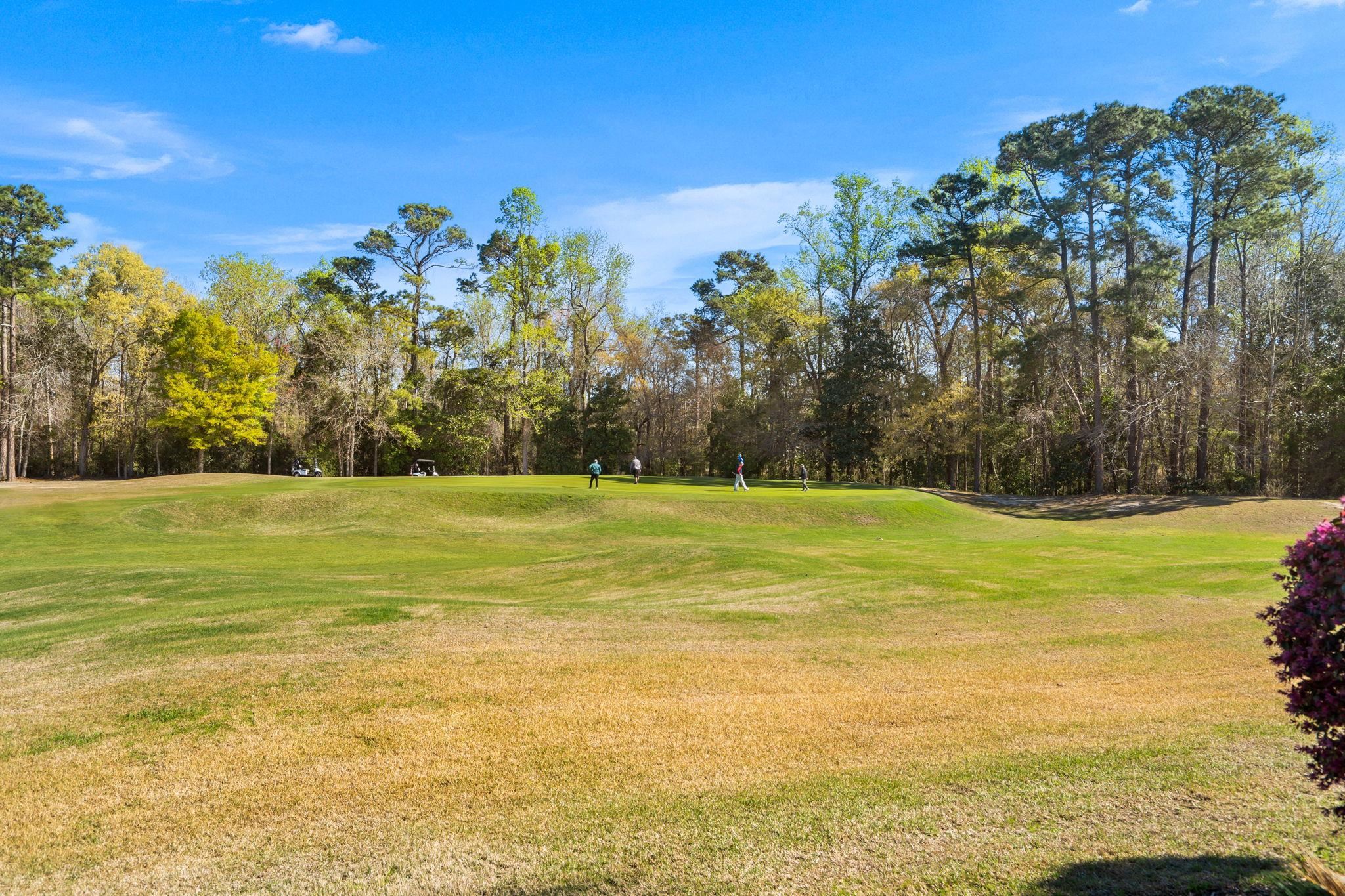 4660 Fringetree Drive, Unit C Murrells Inlet, SC 29576 - Photo 22 of 48