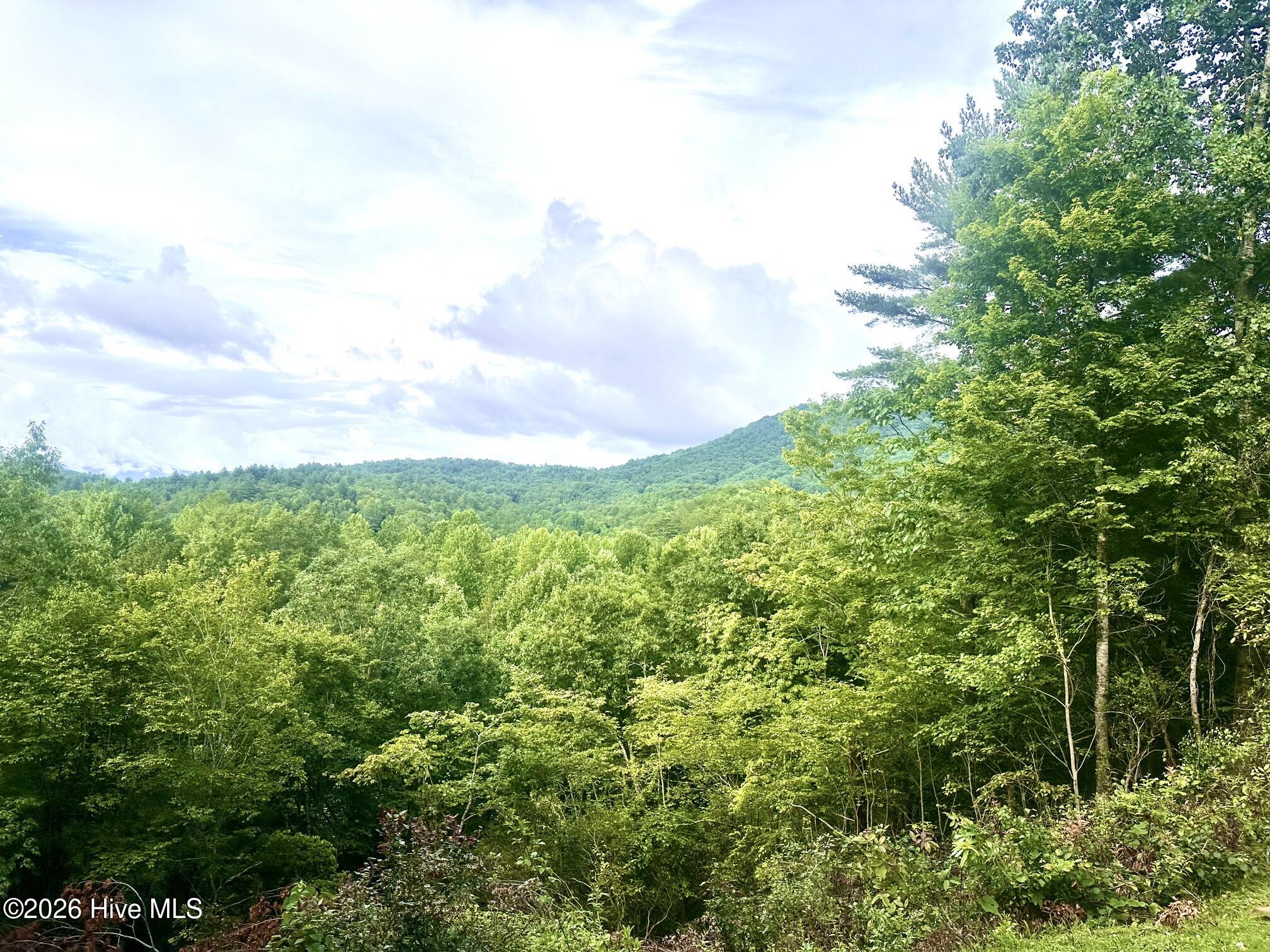 88 Upper Ridge Road Marble, NC 28905 - Photo 5 of 41