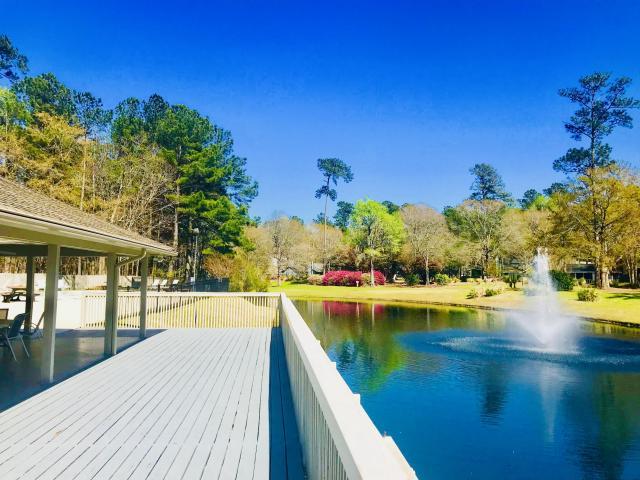 7781 Montview Road North Charleston, SC 29418 - Photo 11 of 26 Pool Deck Views