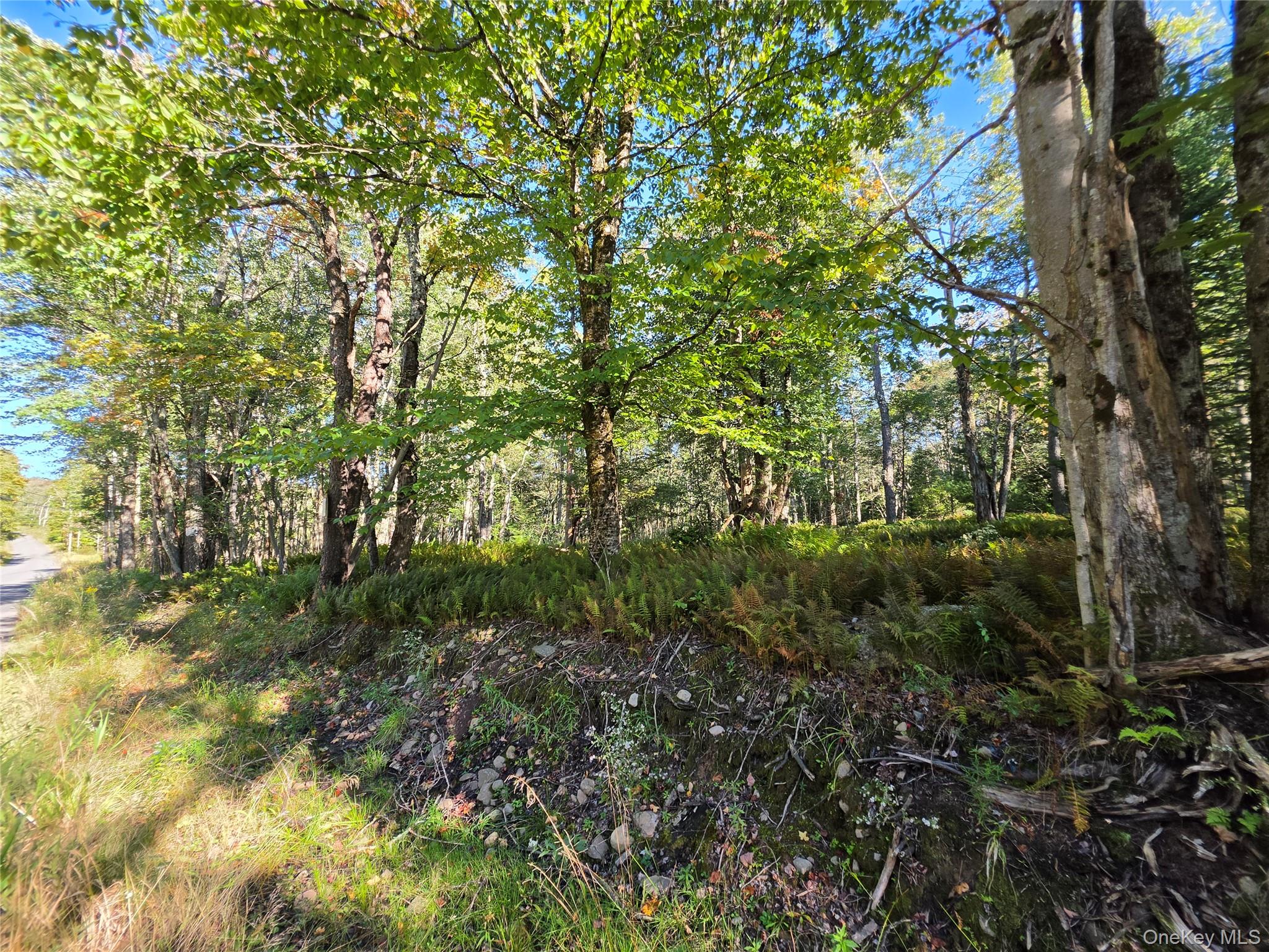 Tbd Lily Pond Road Parksville, NY 12768 - Photo 23 of 31 Gallery Image 23