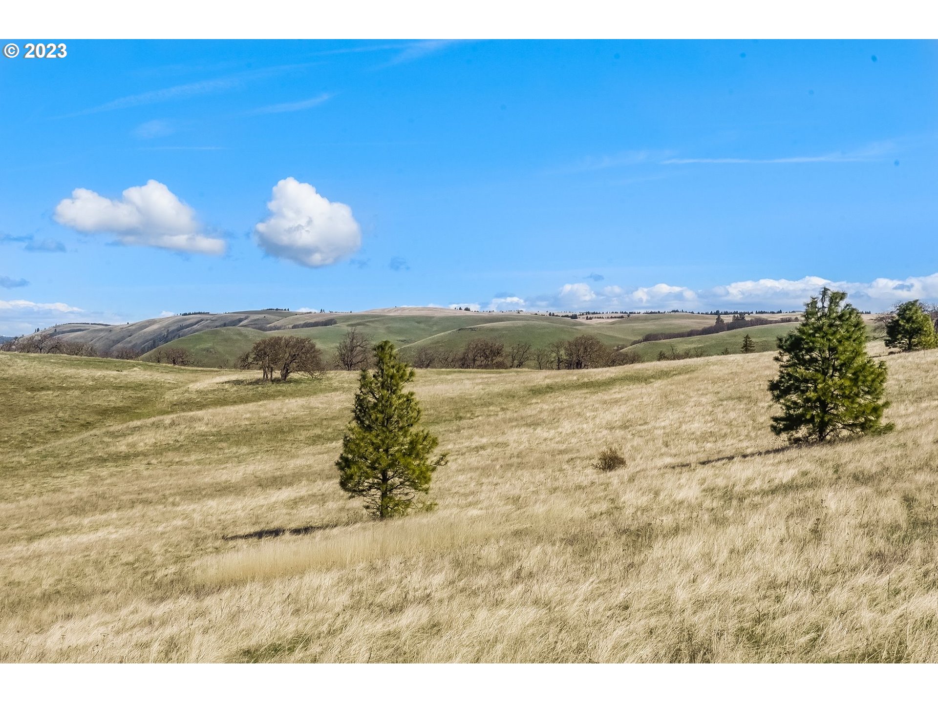 172 Oda Knight Road Lyle, WA 98635 - Photo 24 of 48 Gallery Image 24