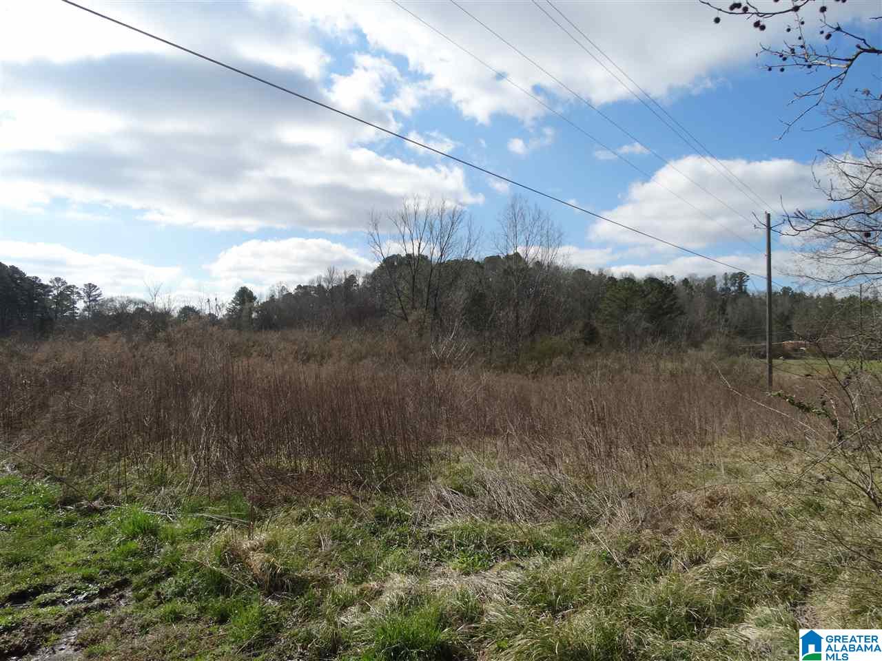 8214 Highway 144 Ragland, AL 35131 - Photo 36 of 36