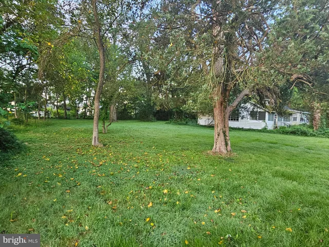 a view of a grassy field with trees
