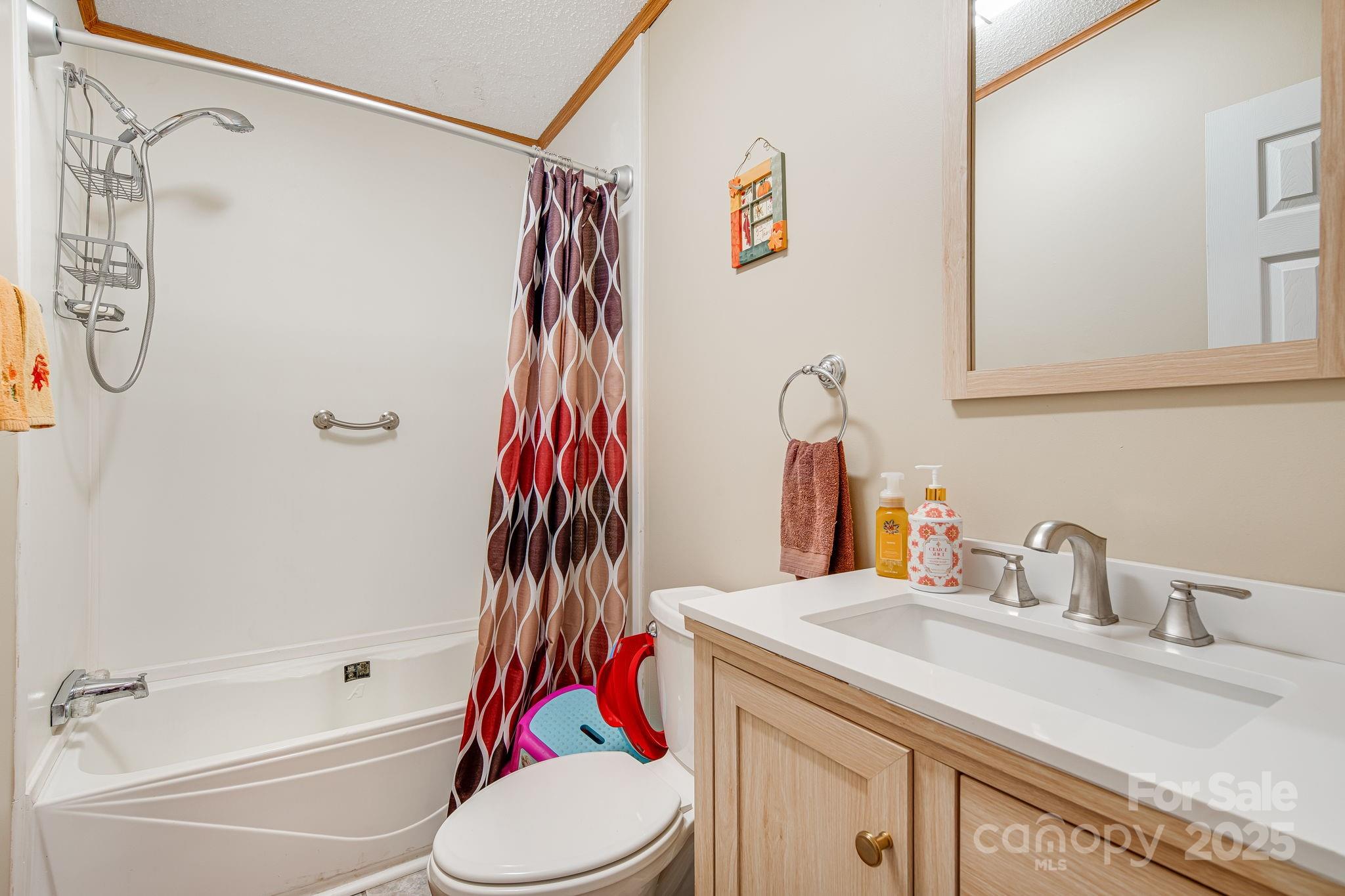 52 Rocky Cove Road Candler, NC 28715 - Photo 12 of 17 a bathroom with a sink and a toilet