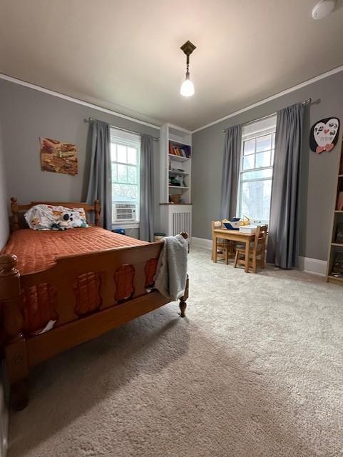 528 11th Street Windom, MN 56101 - Photo 17 of 25