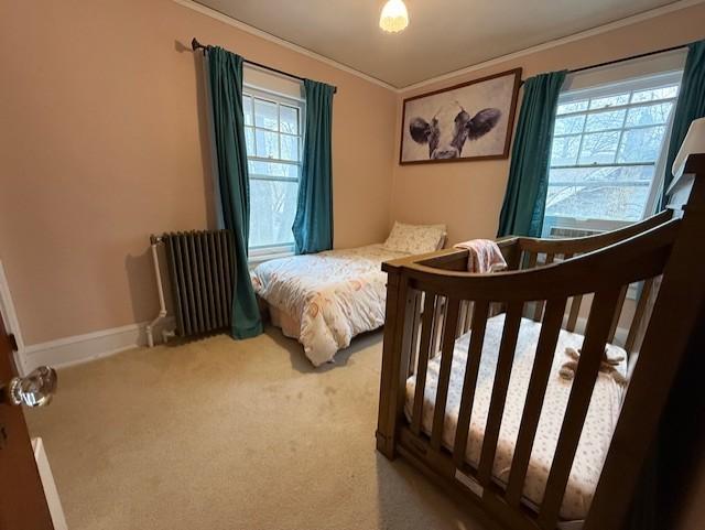 528 11th Street Windom, MN 56101 - Photo 19 of 25