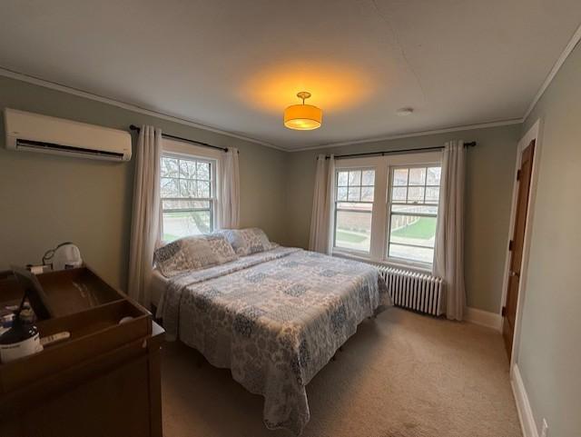 528 11th Street Windom, MN 56101 - Photo 21 of 25