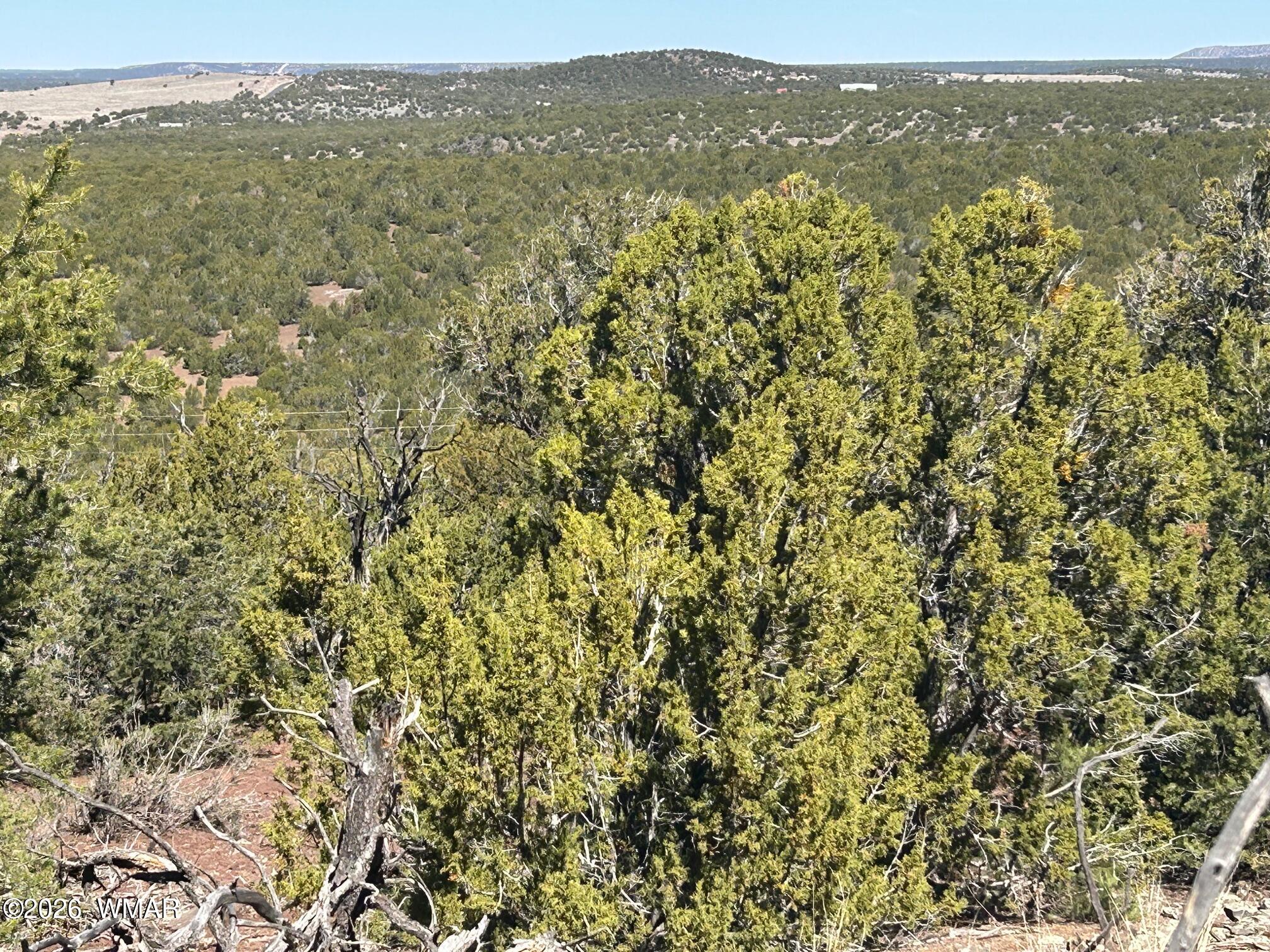 Lot 80 Ranch Road Concho, AZ 85924 - Photo 6 of 16 IMG_4484