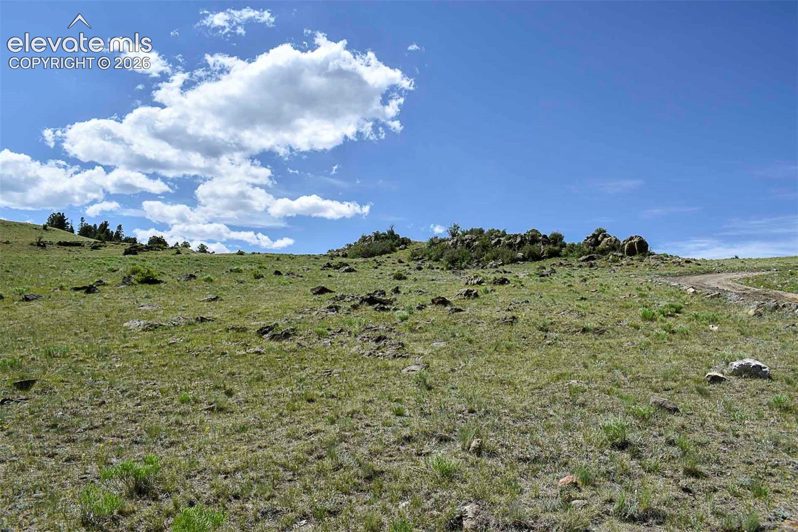 0 Bear Cat Road Guffey, CO 80820 - Photo 33 of 40 Gallery Image 33