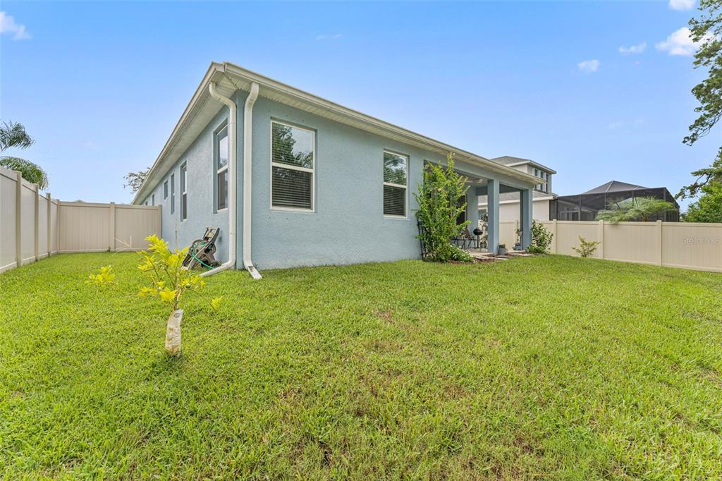 1237 Windy Bay Shoal Tarpon Springs, FL 34689 - Photo 37 of 44 a front view of house with yard and green space