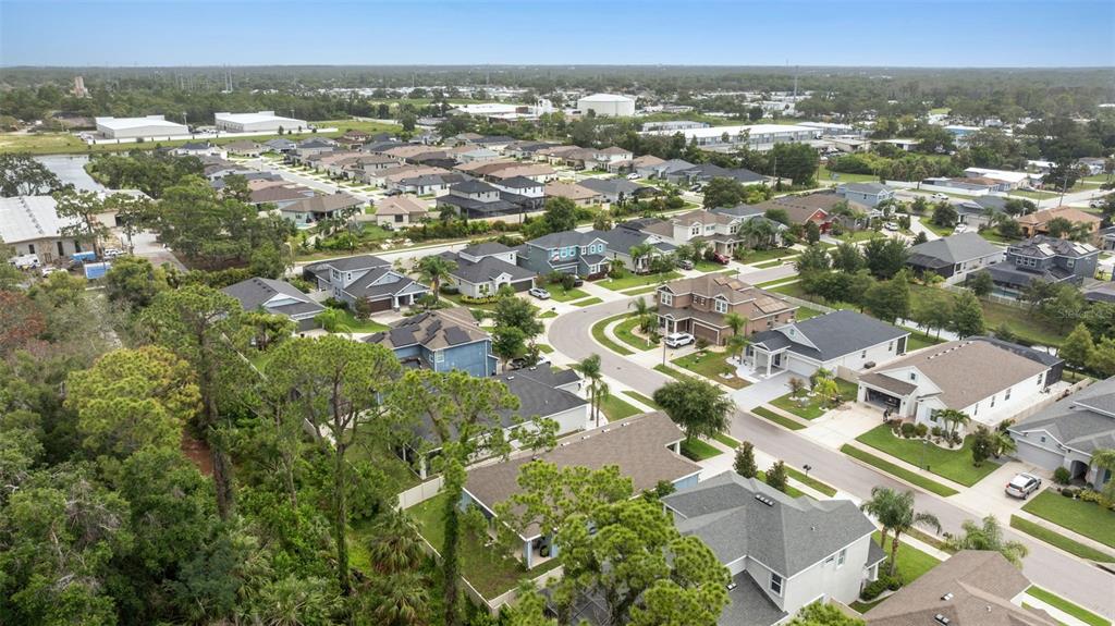 1237 Windy Bay Shoal Tarpon Springs, FL 34689 - Photo 40 of 44 an aerial view of residential houses with city view
