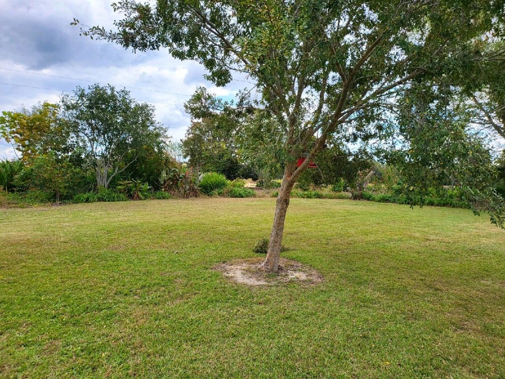 3 Cowart Road Lakeland, GA 31635 - Photo 4 of 36 Gallery Image 4