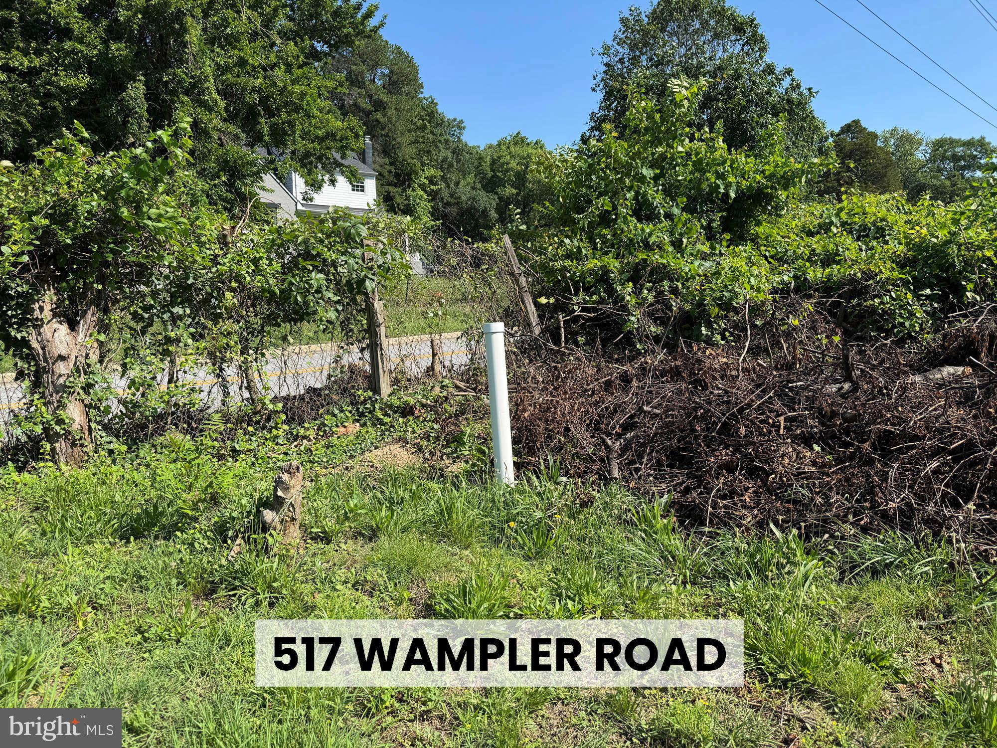 517 Wampler Road Baltimore, MD 21220 - Photo 8 of 21 a green field with trees in the background
