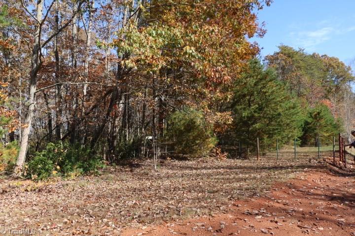1374 Kelly Mill Road, Unit 60 Stuart, VA 24171 - Photo 4 of 30
