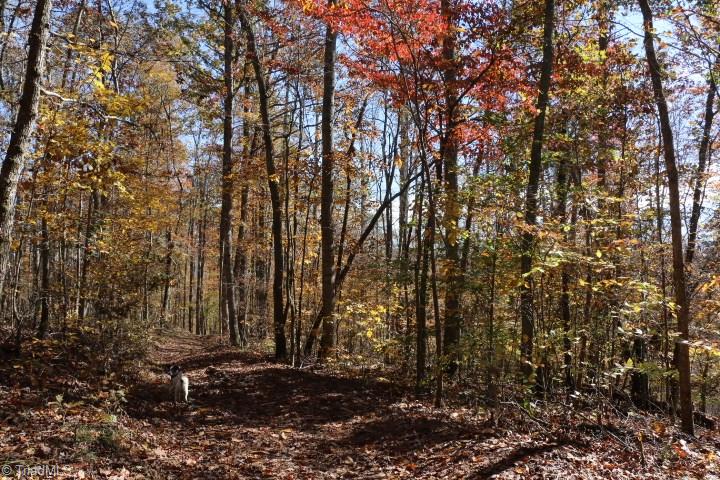 1374 Kelly Mill Road, Unit 60 Stuart, VA 24171 - Photo 6 of 30