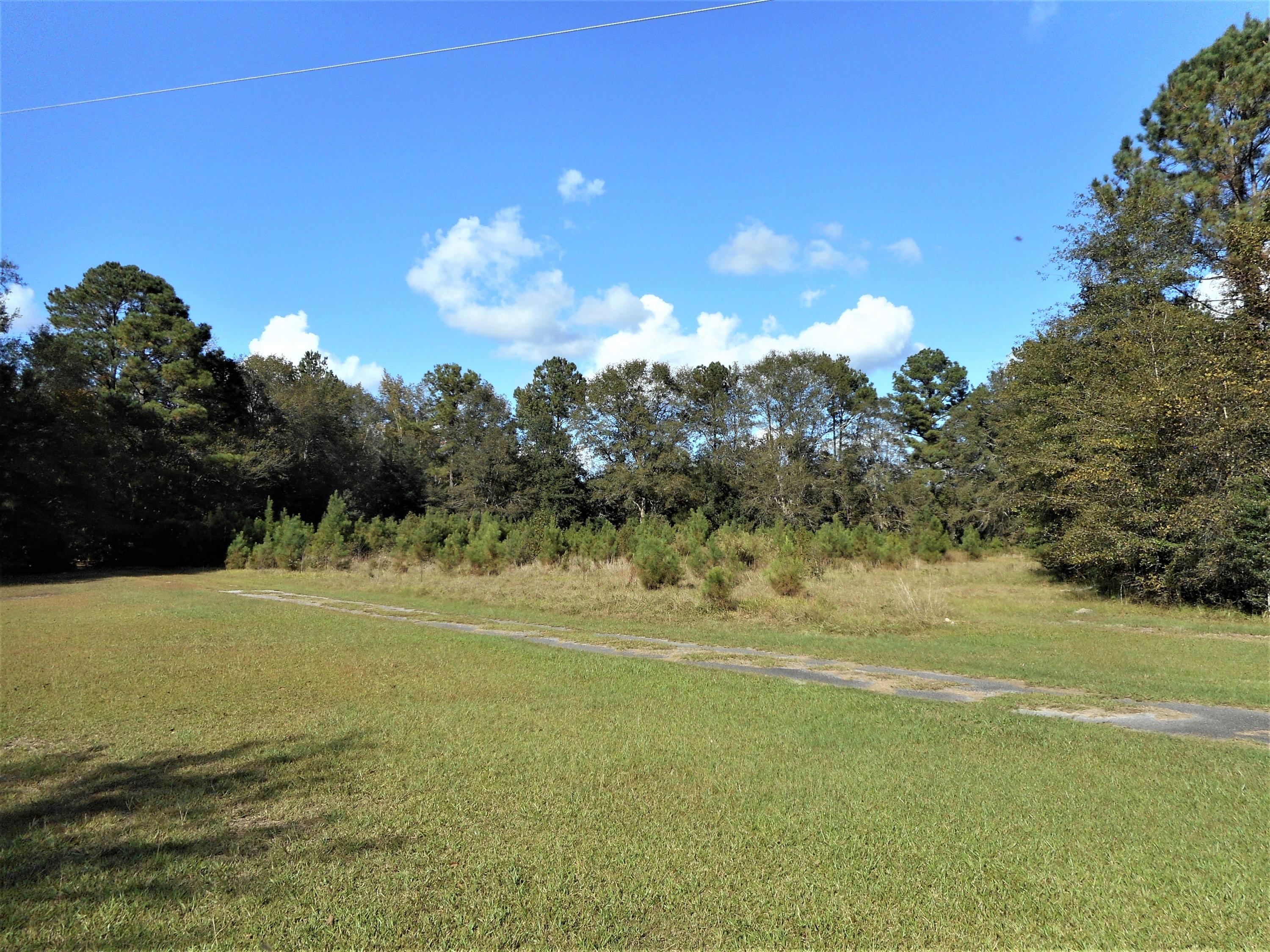 199 Jenkins Club Road Cottageville, SC 29435 - Photo 6 of 27 DSCN2715