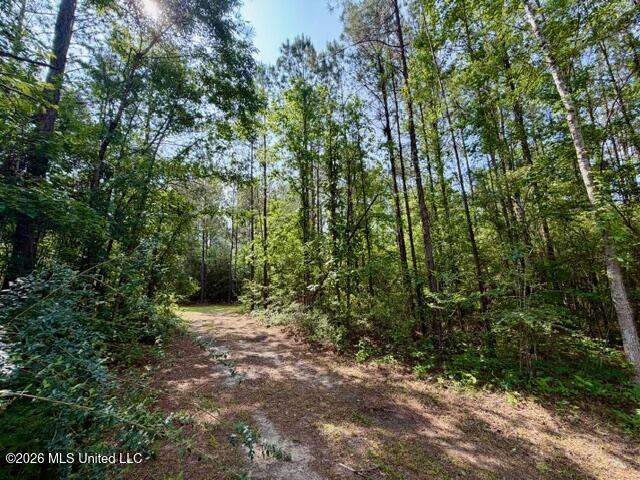 2177 Purvis Baxterville Road Lumberton, MS 39455 - Photo 22 of 25 IMG_0042