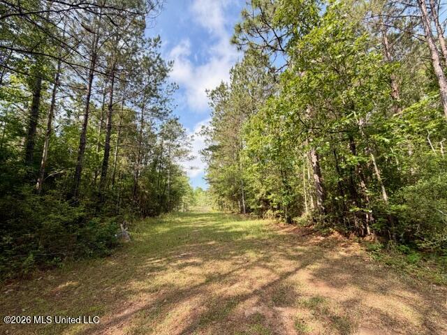 2177 Purvis Baxterville Road Lumberton, MS 39455 - Photo 23 of 25 IMG_0043