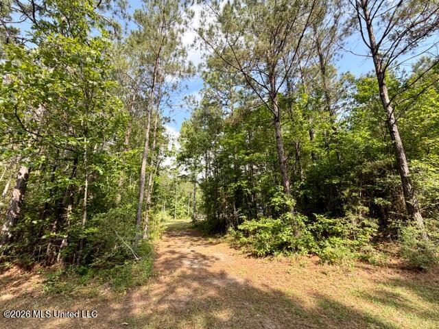2177 Purvis Baxterville Road Lumberton, MS 39455 - Photo 24 of 25 IMG_0044
