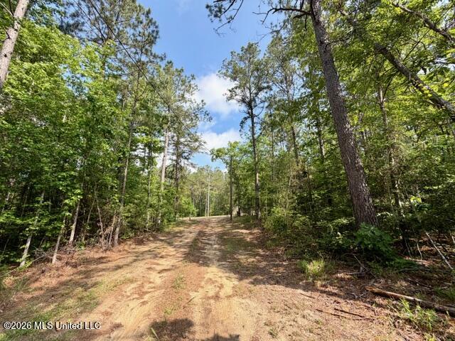 2177 Purvis Baxterville Road Lumberton, MS 39455 - Photo 25 of 25 IMG_0045