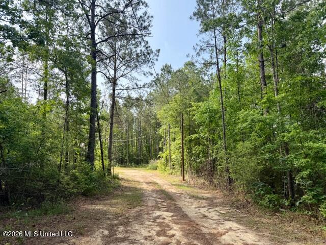 2177 Purvis Baxterville Road Lumberton, MS 39455 - Photo 4 of 25 IMG_0020