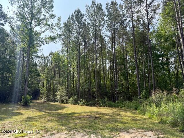 2177 Purvis Baxterville Road Lumberton, MS 39455 - Photo 7 of 25 IMG_0023
