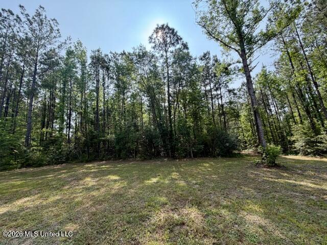 2177 Purvis Baxterville Road Lumberton, MS 39455 - Photo 8 of 25 IMG_0025