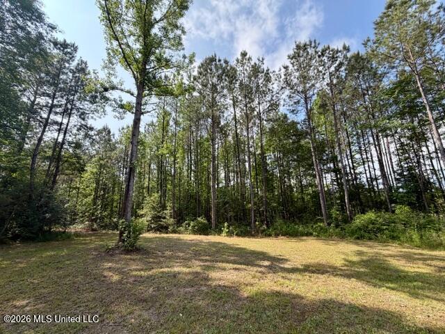 2177 Purvis Baxterville Road Lumberton, MS 39455 - Photo 9 of 25 IMG_0026