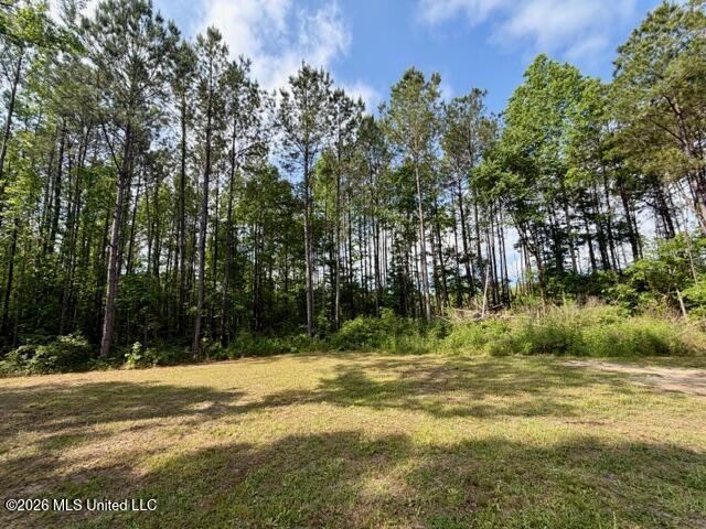 2177 Purvis Baxterville Road Lumberton, MS 39455 - Photo 10 of 25 IMG_0027
