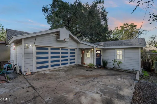 a view of a backyard with plants and a backyard