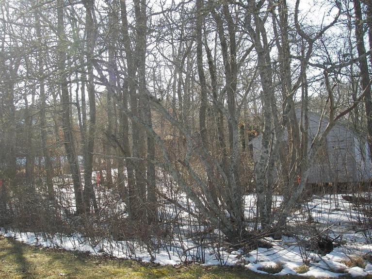 26 Kevin Road Harwich, MA 02645 - Photo 10 of 22 Additional Photo