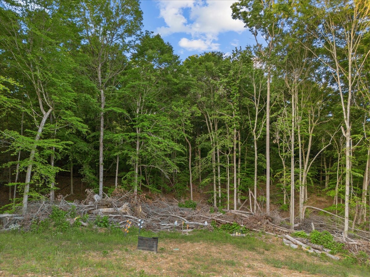 925 Nancy Shawl Road Dickson, TN 37055 - Photo 49 of 70 Gallery Image 49