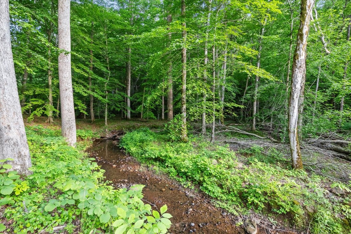 925 Nancy Shawl Road Dickson, TN 37055 - Photo 52 of 70 Gallery Image 52