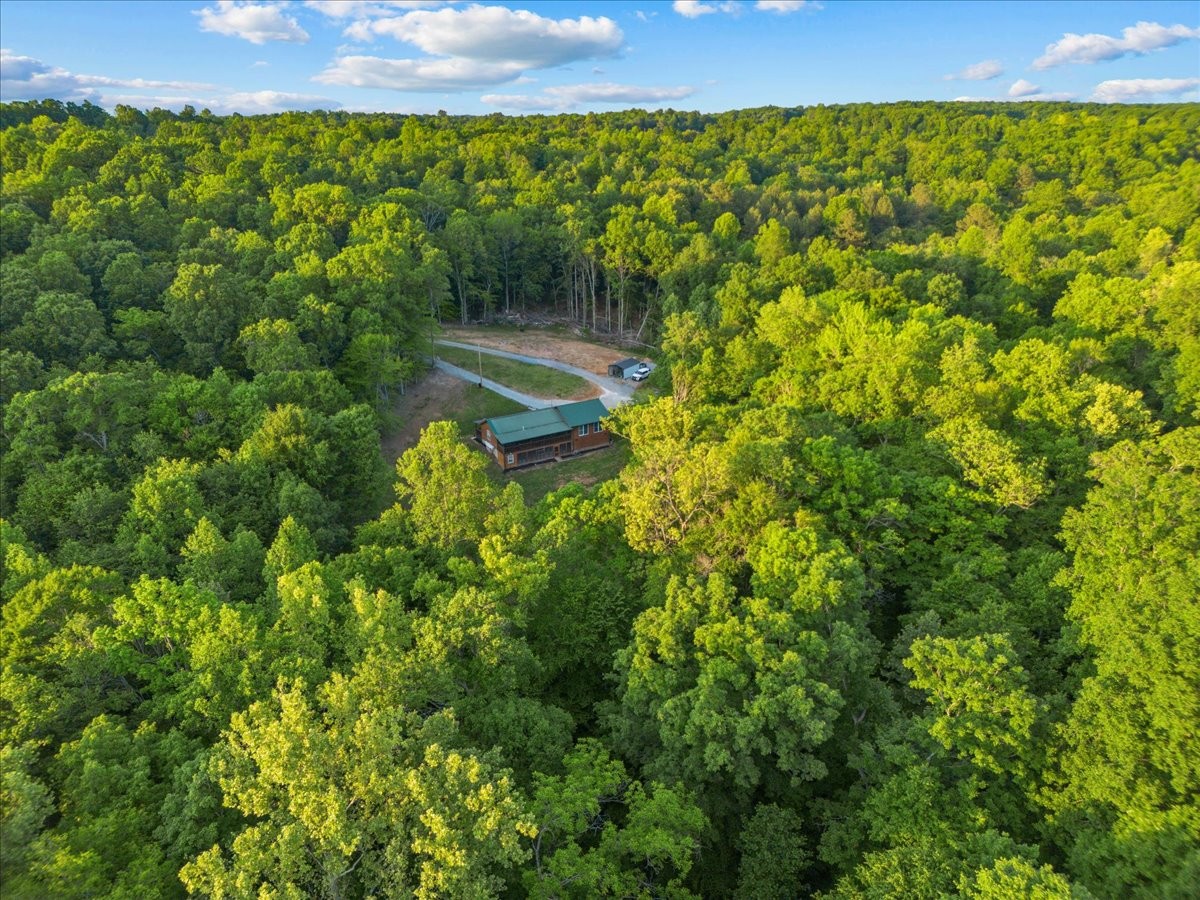 925 Nancy Shawl Road Dickson, TN 37055 - Photo 54 of 70 Gallery Image 54