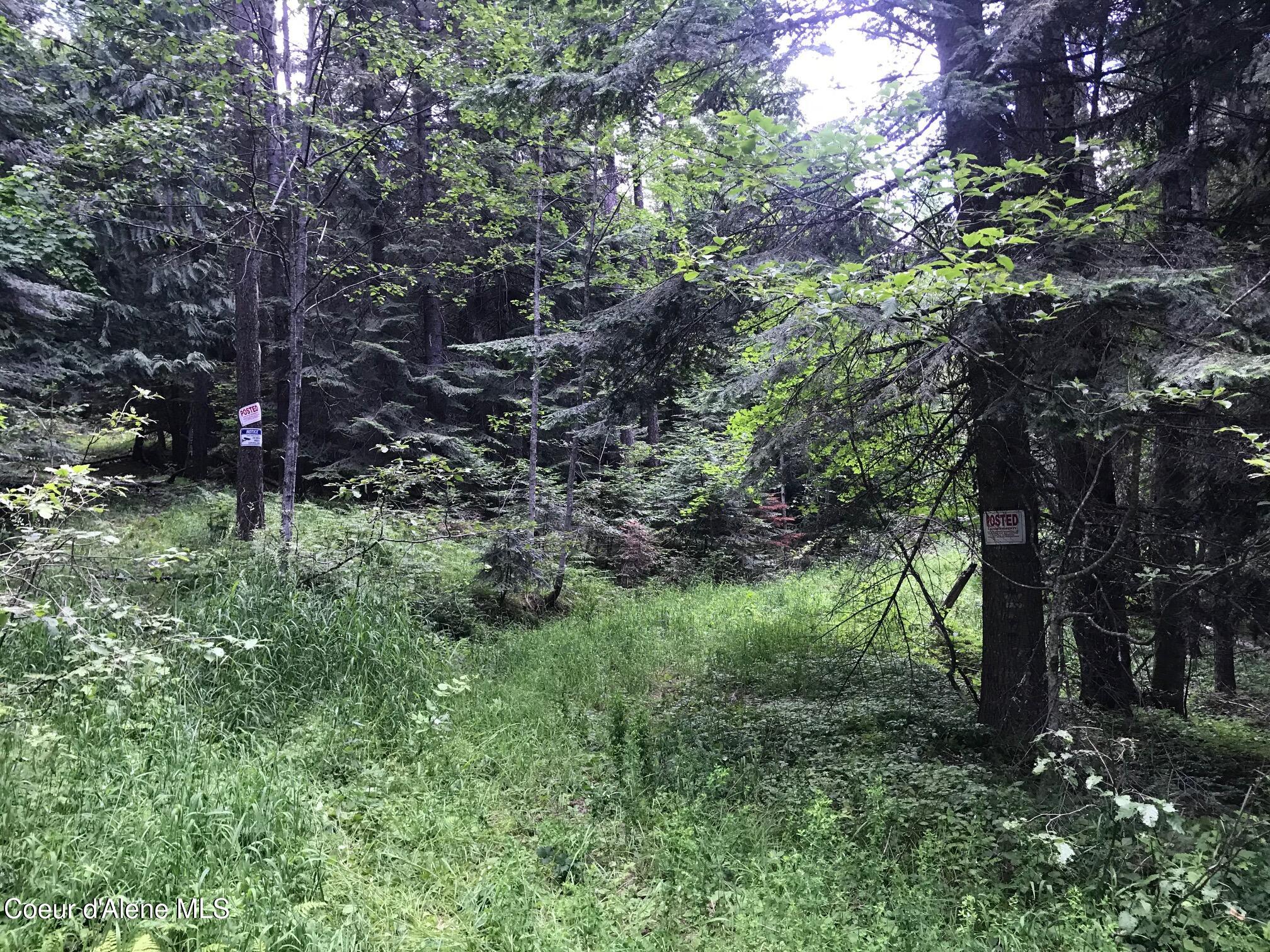 1654 Moonbeam Road Sagle, ID 83860 - Photo 1 of 1 image2 (2)