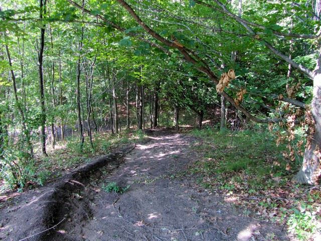 4476 Powell Road Kewadin, MI 49648 - Photo 25 of 31 1810637-34.JPG