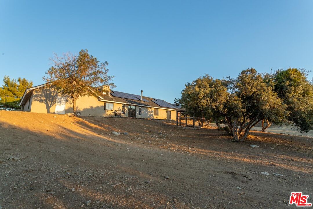 29243 Piani Road Pearblossom, CA 93553 - Photo 33 of 64 a view of road with large tree