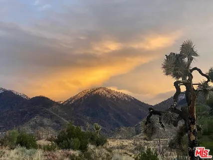 $499,000 | Undisclosed Address, Pearblossom, CA 93553